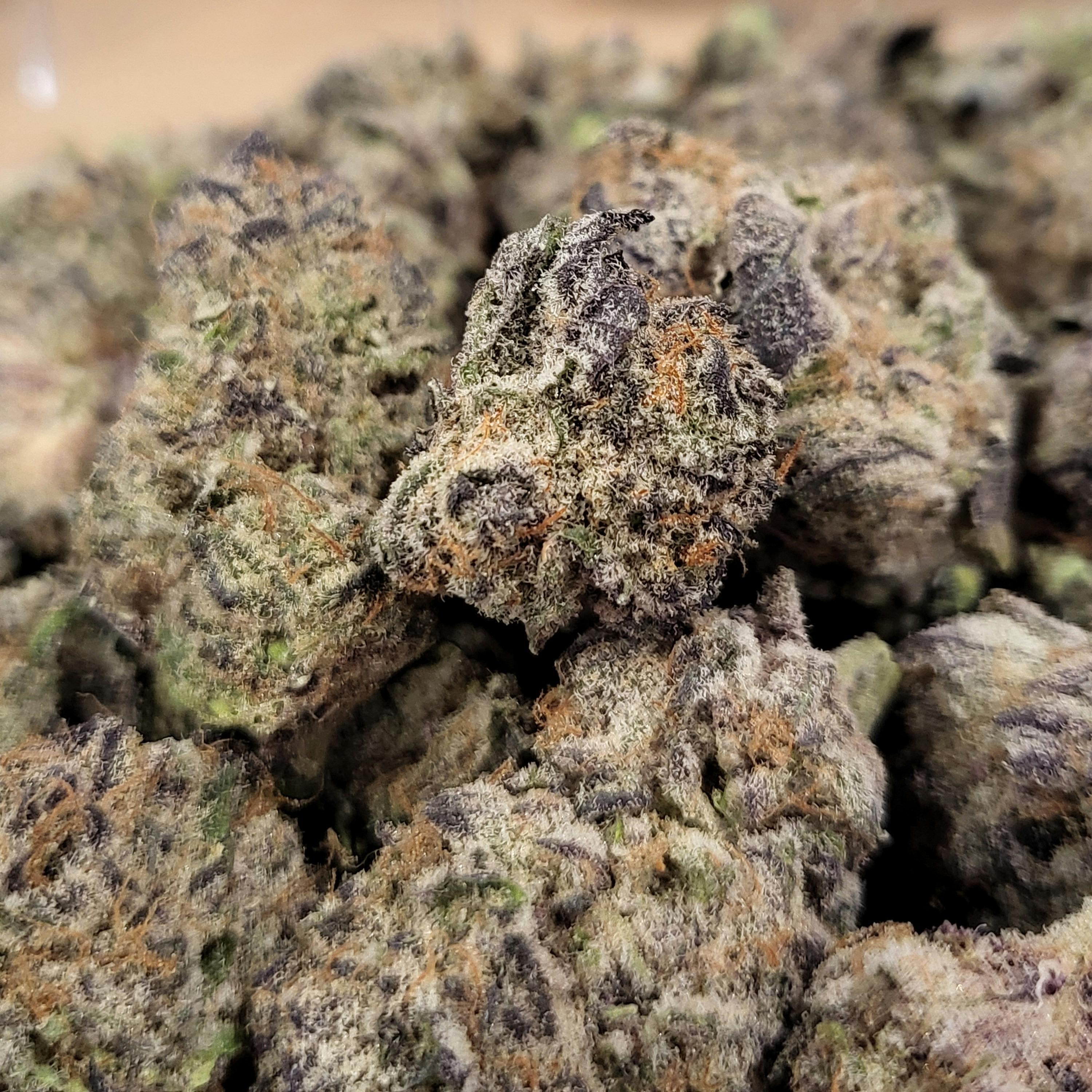 LightSkyFarms- Mimosa